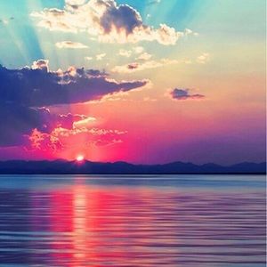 Meet your Posher, Brandi